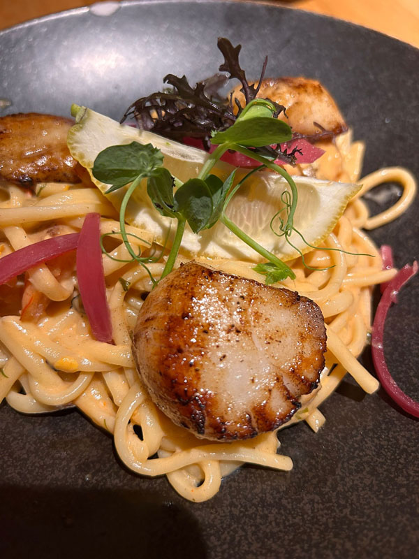 WhatsApp Image 2025-10-28 at 22.47.22